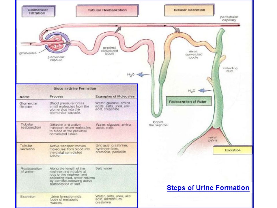 online visualizing research a guide to the research process in art