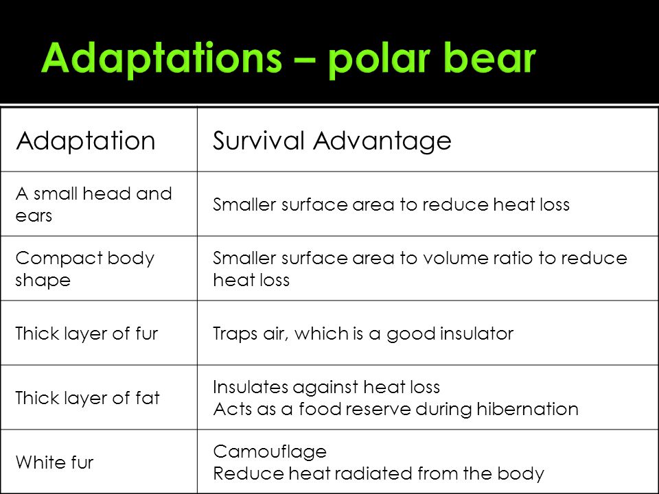 download simulation for applied