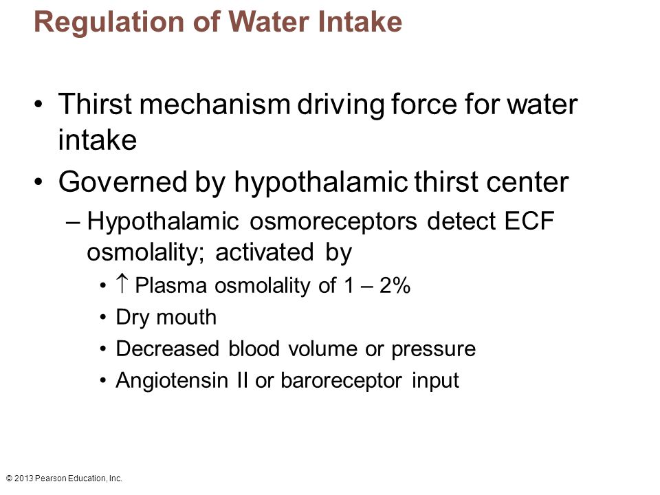 Regulation Of Water Intake 77