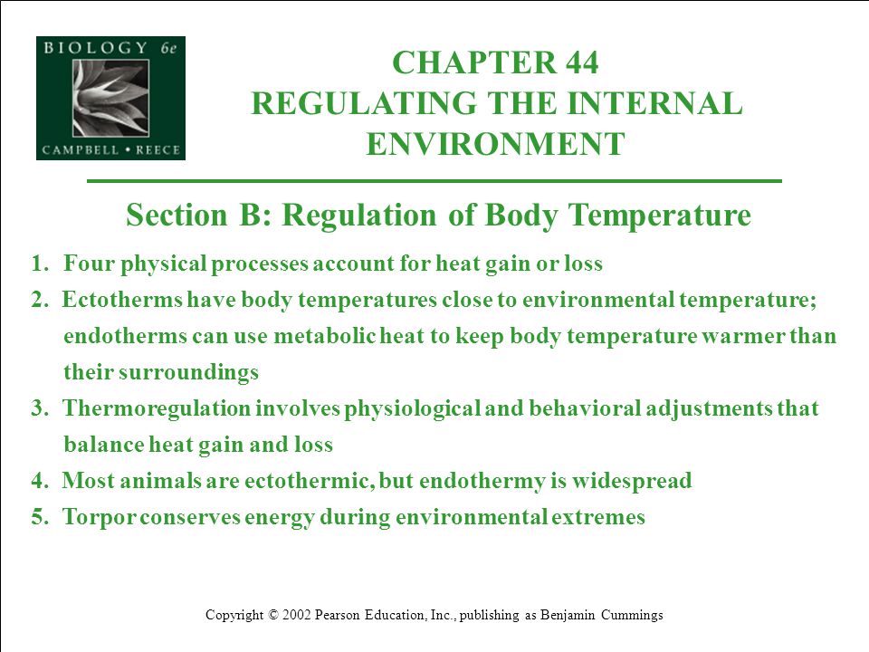 Ap Biology Reading Guide Fred And theresa holtzclaw ...