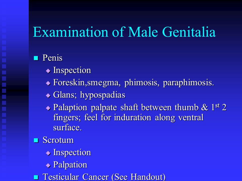 Male Penis Examination 67