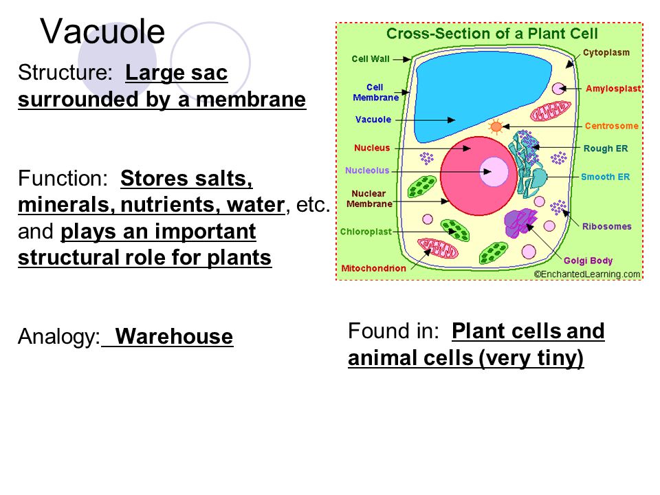 download including actinides