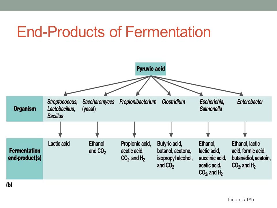 shop rice germplasm genetics