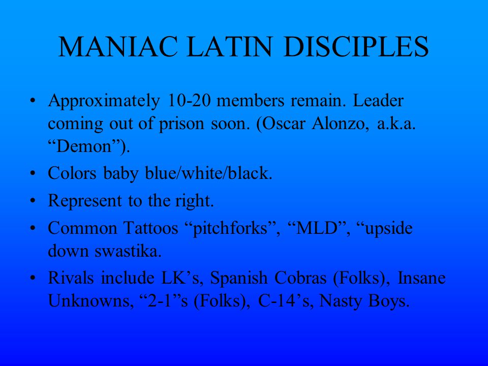 Manic Latin Disciples 97