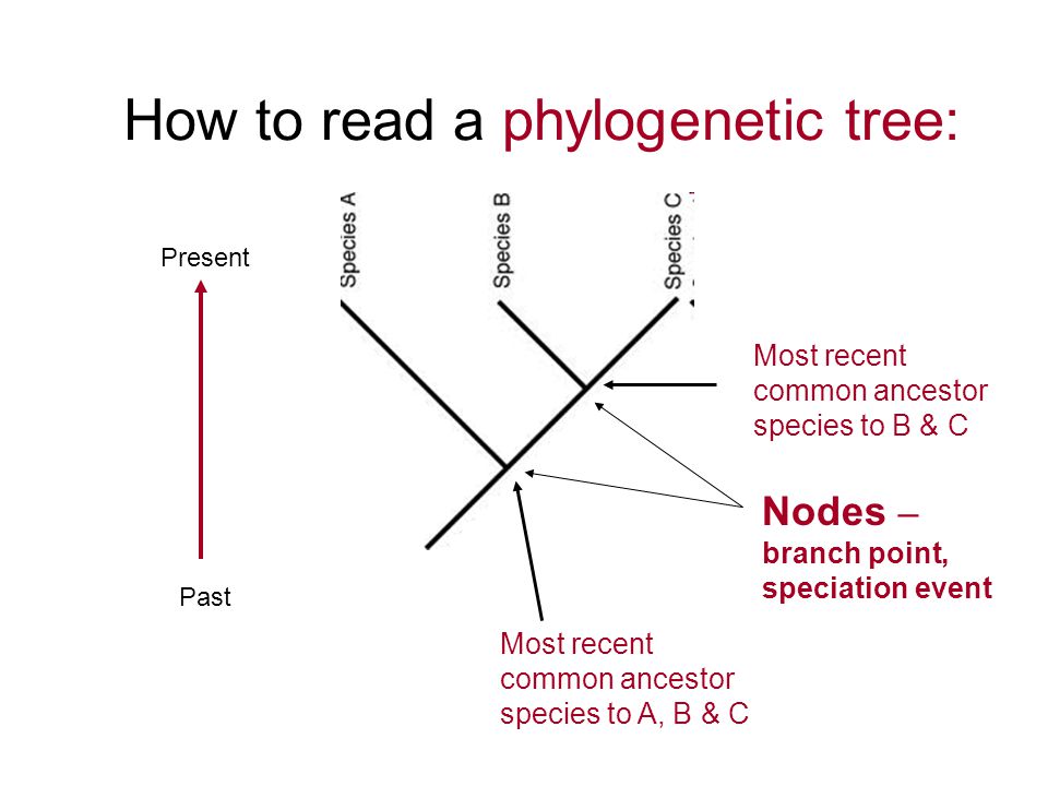 epub non separable and planar graphs