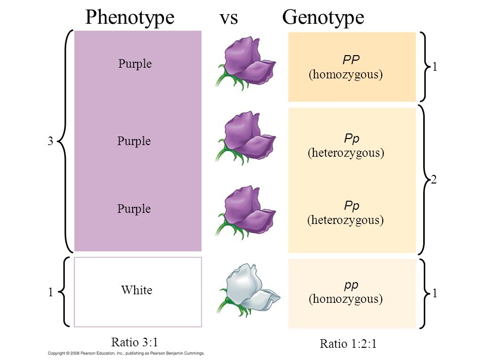 elements of