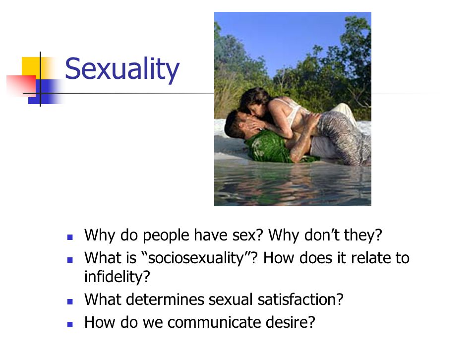 Why People Sex 111