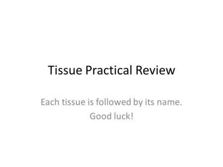Tissue Practical Review Each tissue is followed by its name. Good luck!