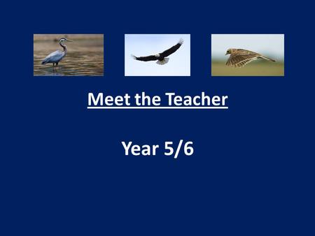 Meet the Teacher Year 5/6. Spelling and Reading Journal Children must read to an adult 3x a week at home – you must record in the journal when you have.