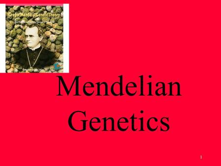 1 Mendelian Genetics. 2 Gregor Mendel The Father of Genetics.