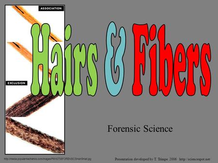 Forensic Science  Presentation developed by T. Trimpe 2006