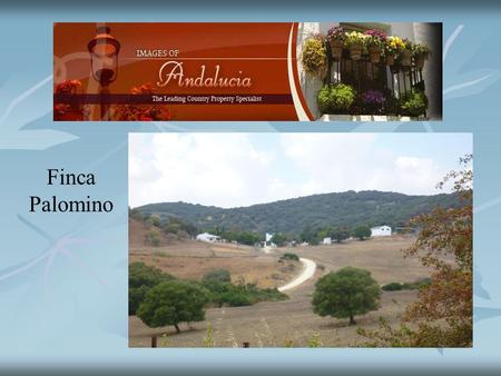Finca Palomino. The farm offers something for everybody besides being excellent land for agriculture it also offers superb riding and cattle farming.