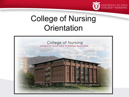 College of Nursing Orientation. College of Nursing Advisor Contact Information Steve Carwile - Fall and Spring (Last Name A-L)