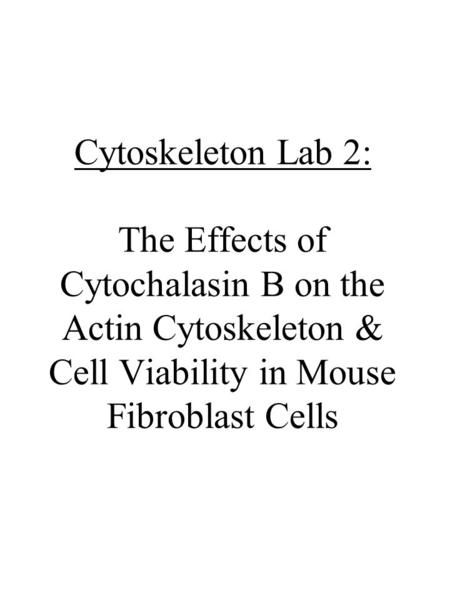 Cytoskeleton Lab 2: The Effects of Cytochalasin B on the Actin Cytoskeleton & Cell Viability in Mouse Fibroblast Cells.