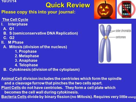 10/31/14 Quick Review Please copy this into your journal: The Cell Cycle I.Interphase A. G1 B. S (semiconservative DNA Replication) C. G2 II.M Phase A.