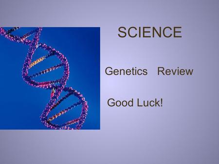 SCIENCE Genetics Review Good Luck! #1 What do we call the passing of traits from parents to offspring? Probability Recessive Heredity.