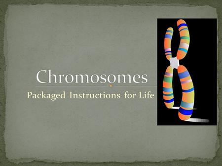 Packaged Instructions for Life. Chromosomes are packages of DNA wrapped with help of proteins called histones Composed of two identical sister chromatids.