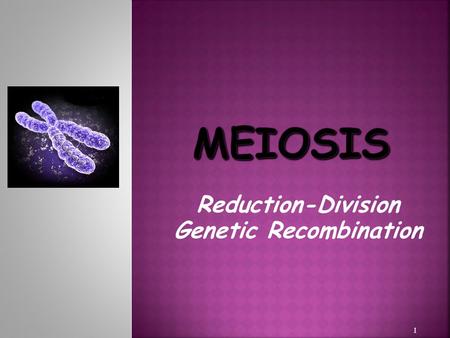 Reduction-Division Genetic Recombination 1. cell division GAMETES, HALF CHROMOSOMES,  The form of cell division by which GAMETES, with HALF the number.