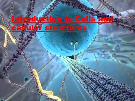 Introduction to Cells and cellular structures. CELL THEORY  A theory resulting from many scientists’ observations & conclusions Sch wan n Sch leid en.