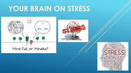 YOUR BRAIN ON STRESS.  Brain Quiz  Teen Brain  Making the Connection  Chill Tip.