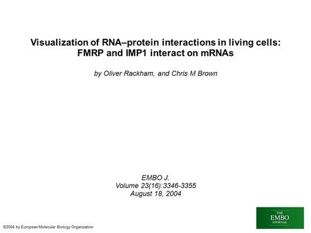 Visualization of RNA–protein interactions in living cells: FMRP and IMP1 interact on mRNAs by Oliver Rackham, and Chris M Brown EMBO J. Volume 23(16):