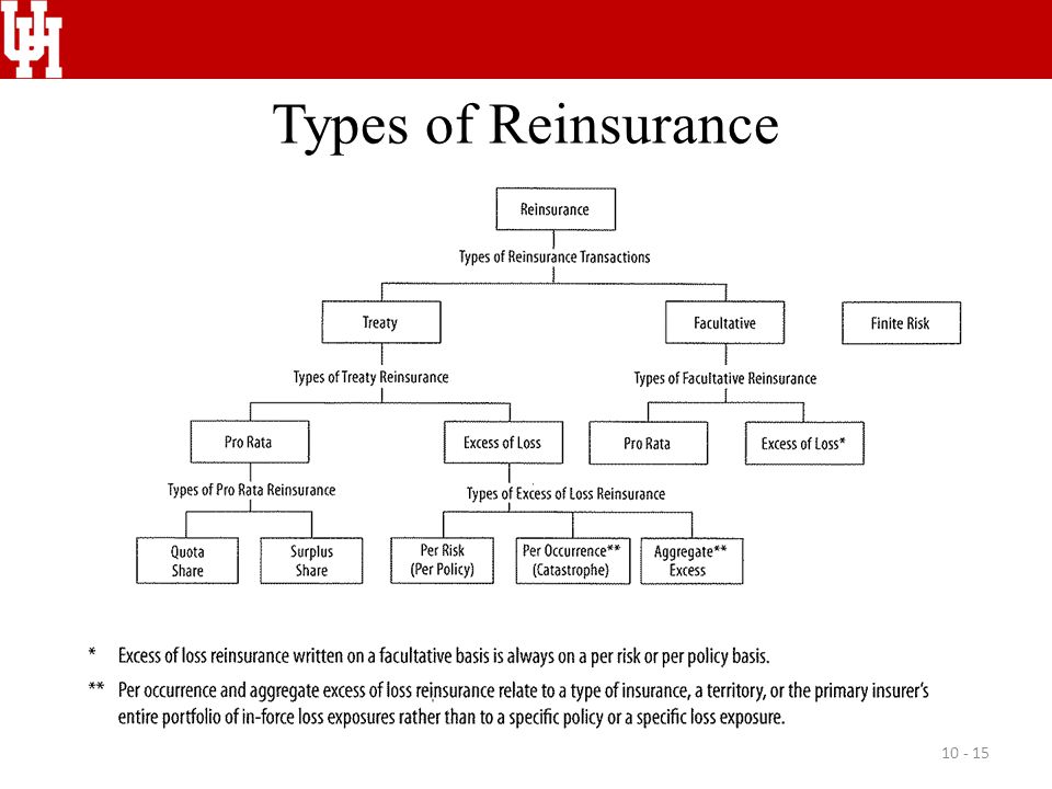 rage on the right the american militia movement from ruby