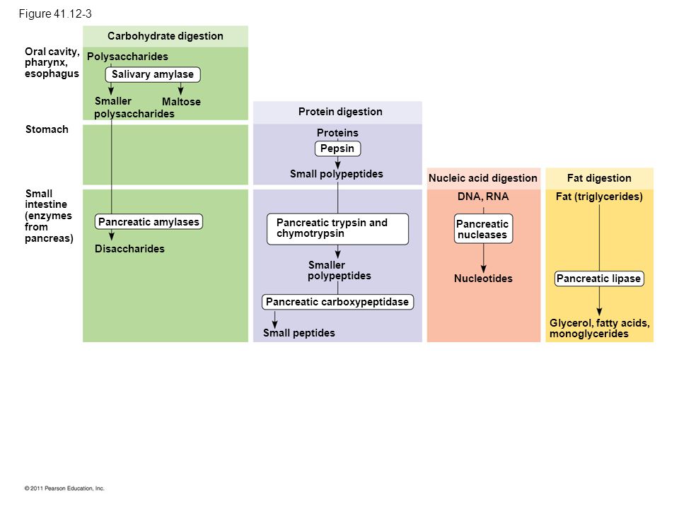 download psychological therapies for