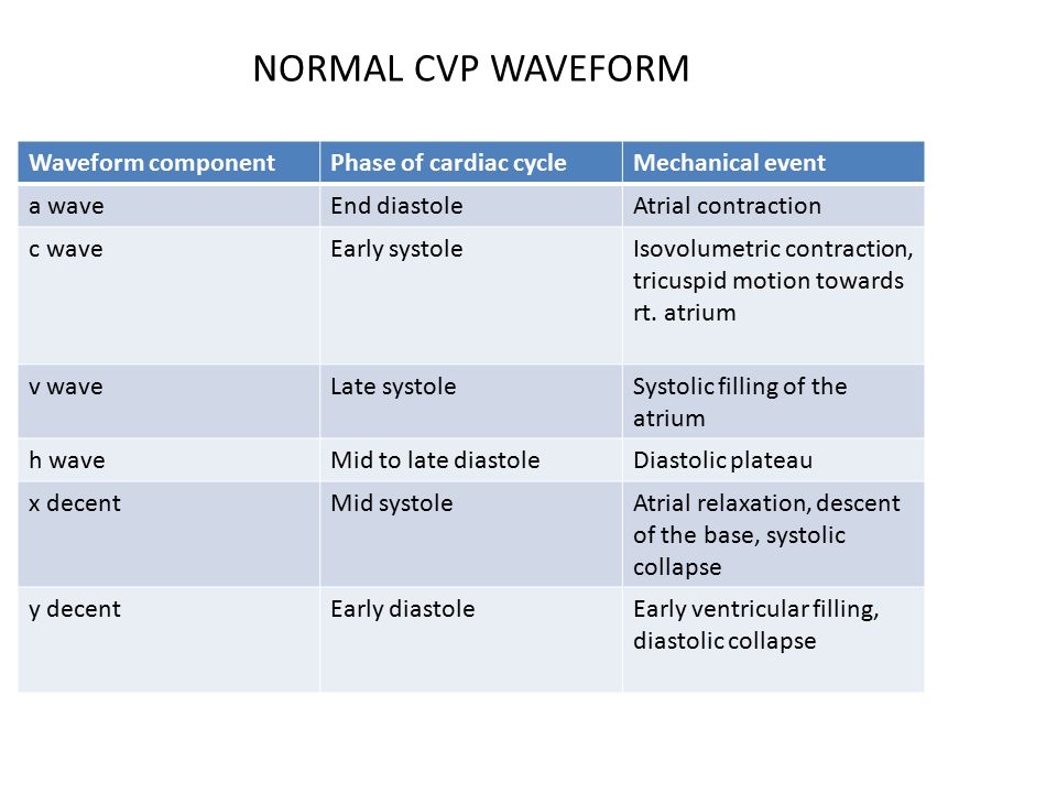 download chromatography