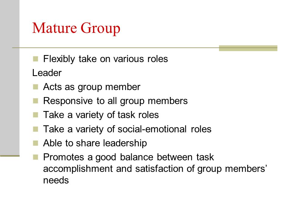 Leadership In Group 82