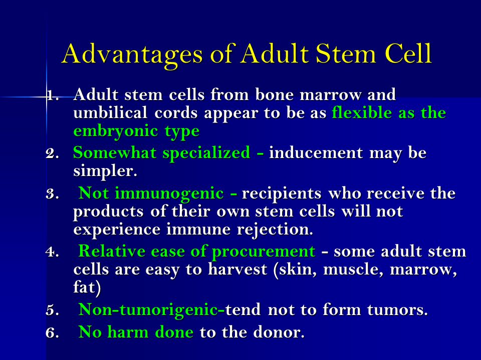 Adult Stem Cell Advantages 16