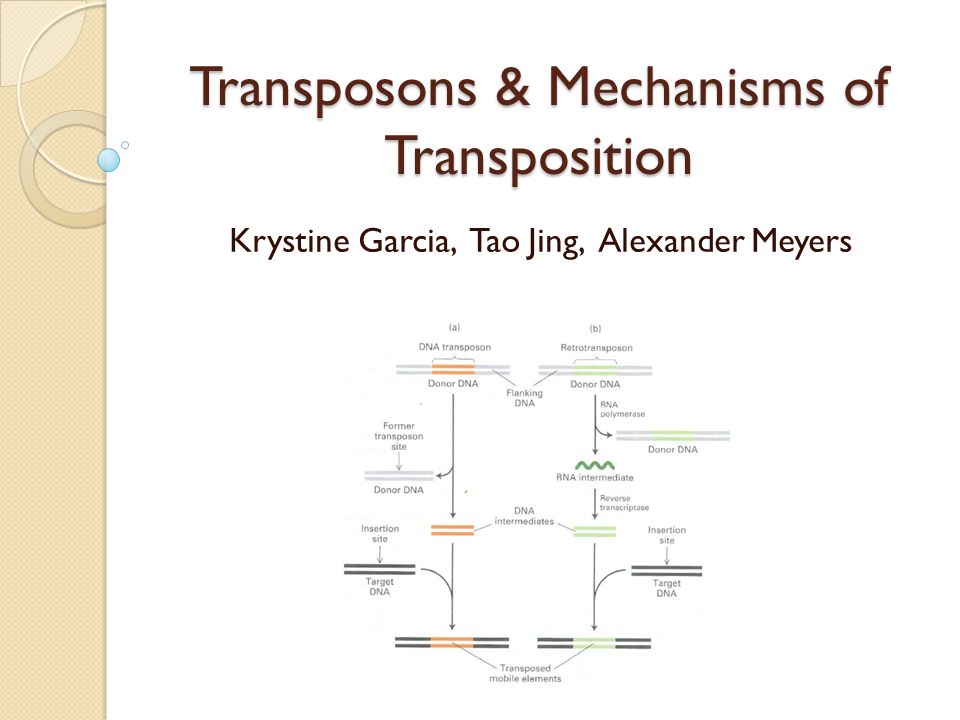 download antibody expression