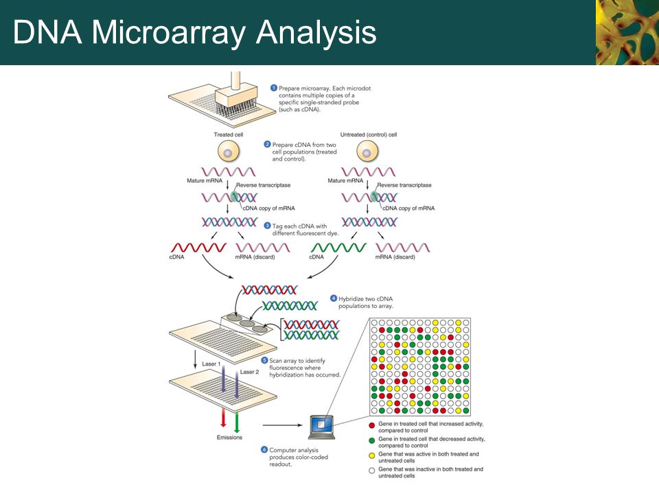 ebook biotechnology and genetics in