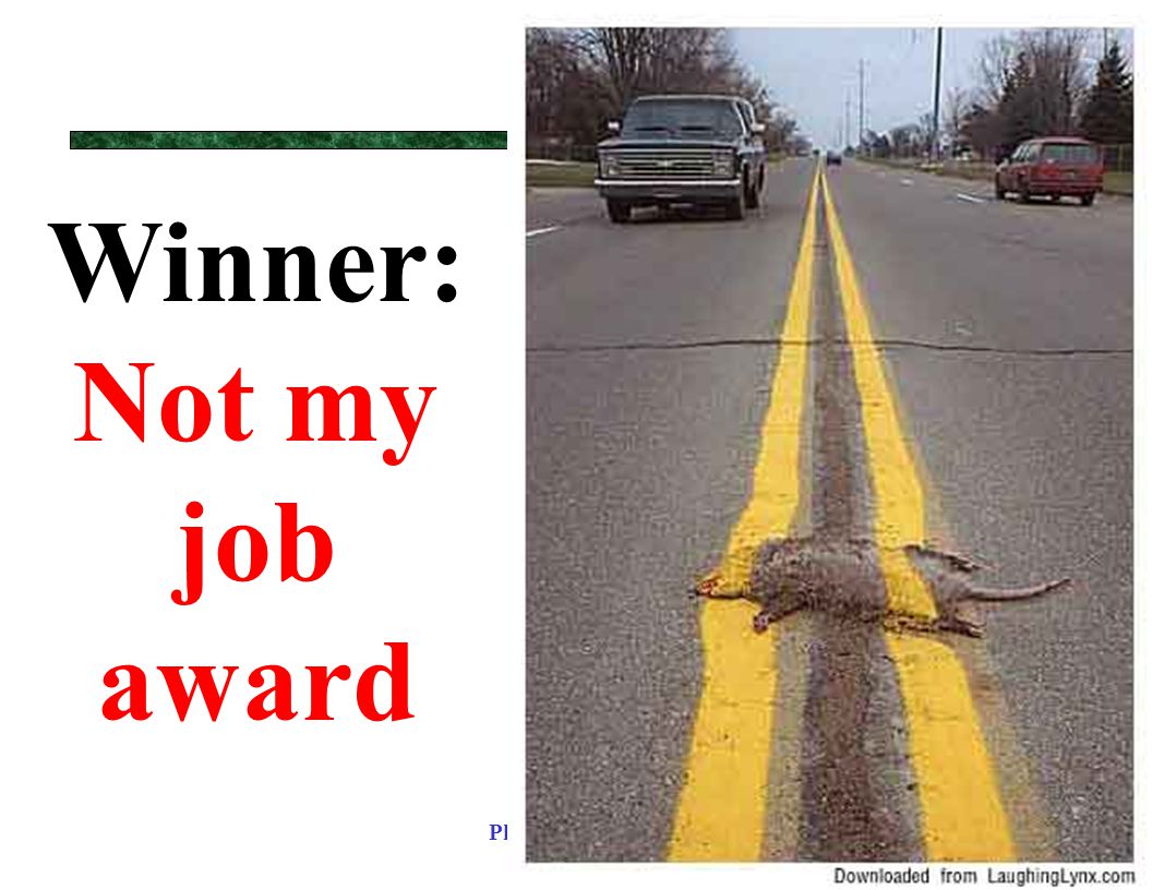 Winner%3A+Not+my+job+award.jpg