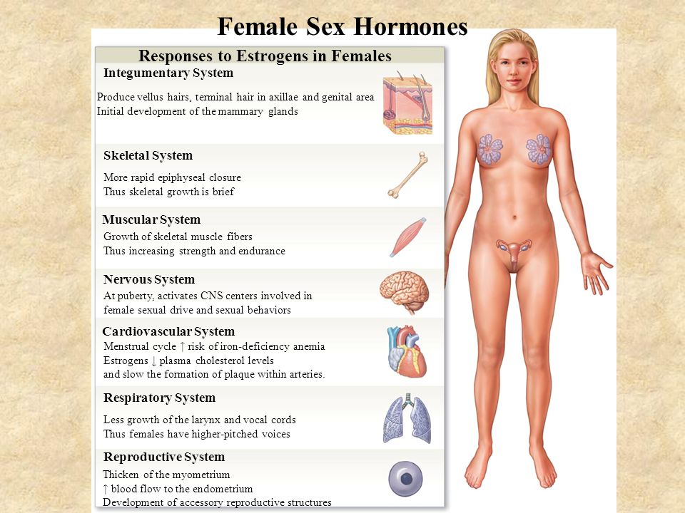 Female Sexual Hormone 117