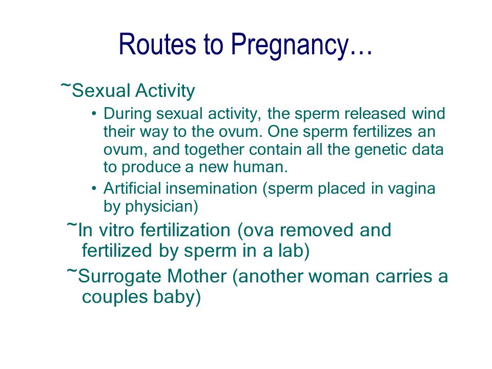 Pregnancy Sexual Activity 101