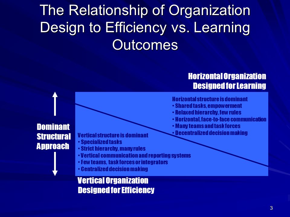 difference between horizontal and vertical organization