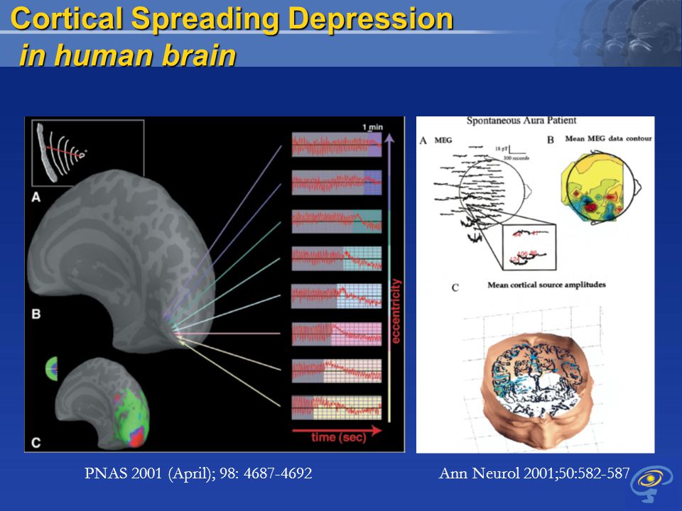 download codetermination a discussion of different approaches