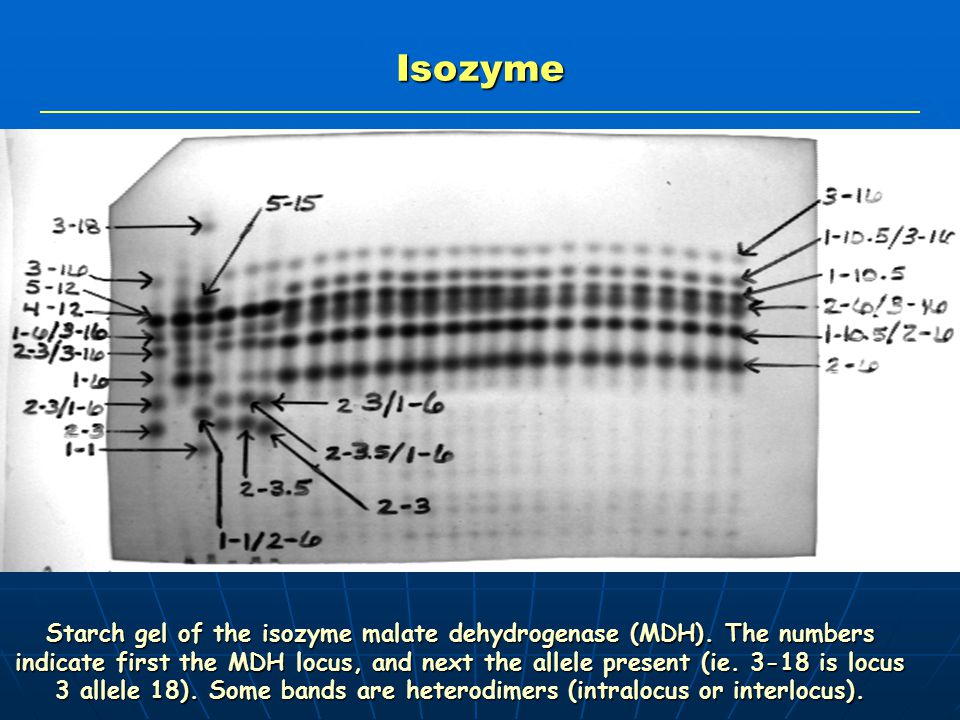 view complex analysis seminar university park pa march 1014 1986