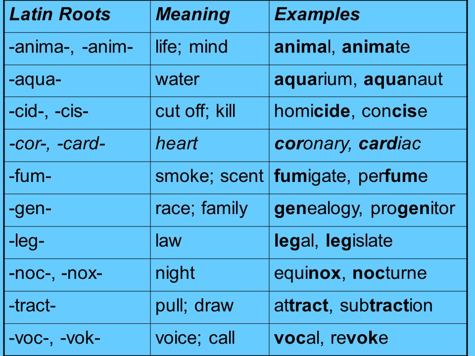 Examples Of Latin Roots 35