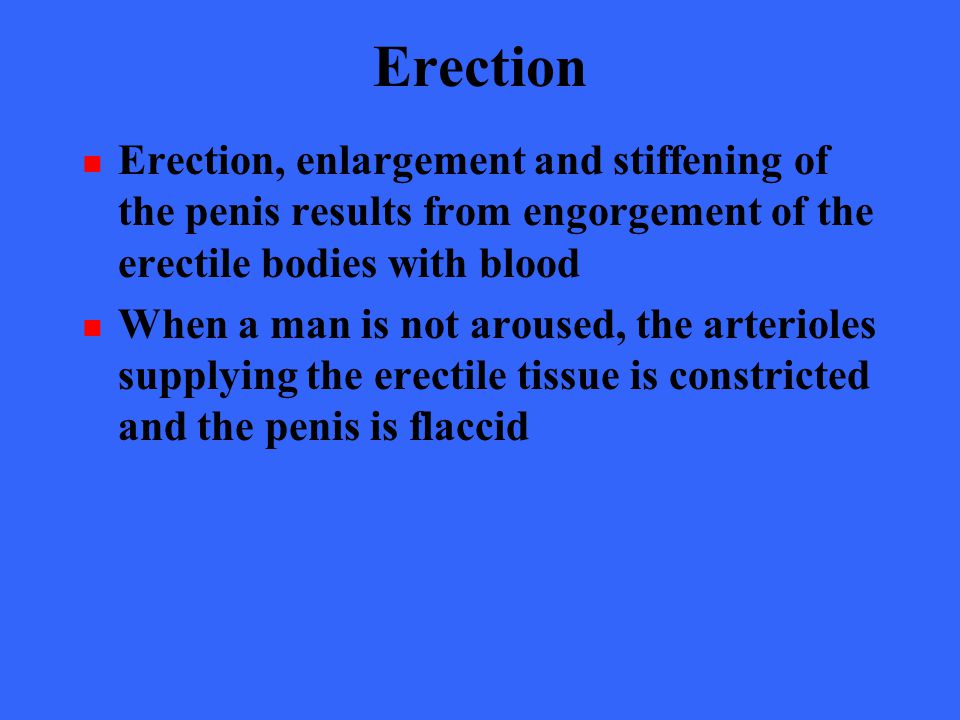 Erection Of The Penis Results From 93