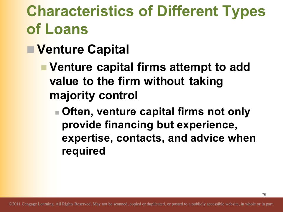 Venture Capital Loans