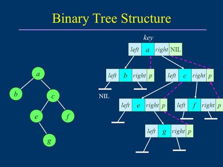 Binary Tree Structure a b fe c a rightleft g g NIL c ef b left right pp p pp left key.