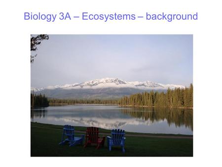 Biology 3A – Ecosystems – background. Terminology Pyramids Food chains Food webs Field work Sustainability Diversity Flexibility Matter cycles Energy.
