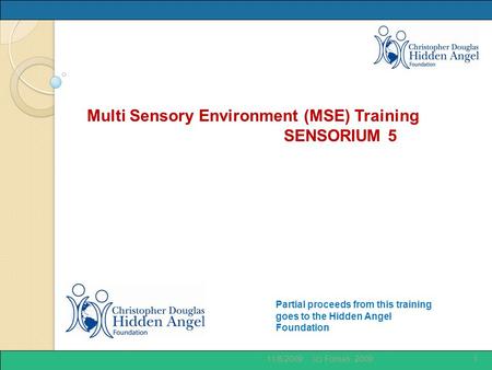 Partial proceeds from this training goes to the Hidden Angel Foundation Multi Sensory Environment (MSE) Training SENSORIUM 5 11/8/20091(c) Fornes, 2009.