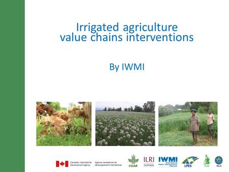 Minimum of 30 font size and maximum of 3 lines title By IWMI Irrigated agriculture value chains interventions.