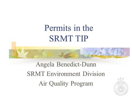 Permits in the SRMT TIP Angela Benedict-Dunn SRMT Environment Division Air Quality Program.