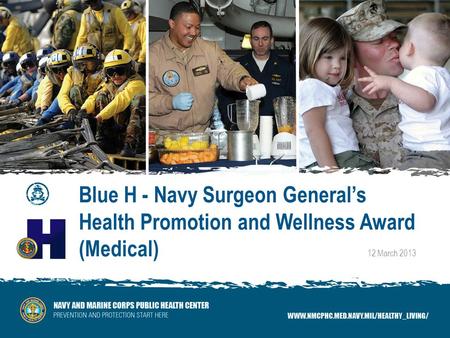 Blue H - Navy Surgeon Generals Health Promotion and Wellness Award (Medical) 12 March 2013.
