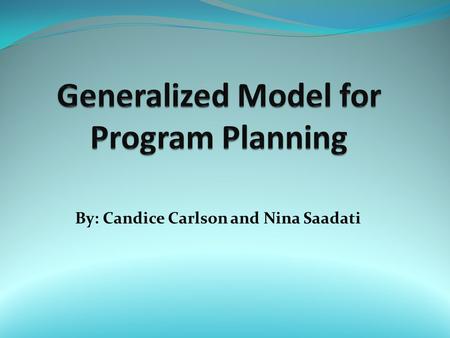 Generalized Model for Program Planning
