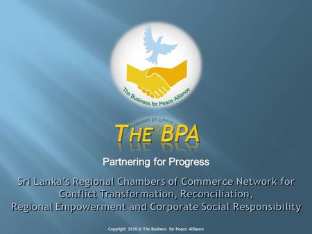 Copyright 2010 © The Business for Peace Alliance.