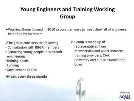 Young Engineers and Training Working Group Working Group formed in 2010 to consider ways to meet shortfall of engineers identified by members The group.